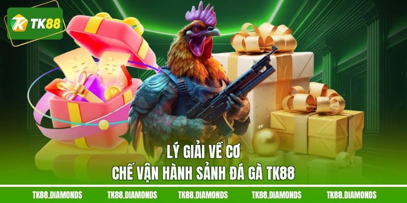 Lý giải về cơ chế vận hành sảnh đá gà TK88