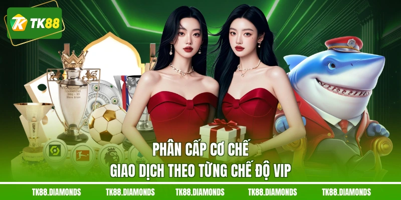Phân cấp cơ chế giao dịch theo từng chế độ VIP