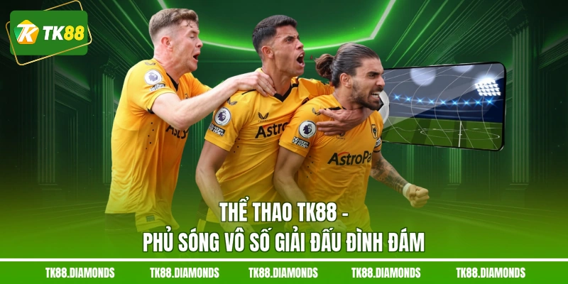 Thể thao TK88 - Phủ sóng vô số giải đấu đình đám